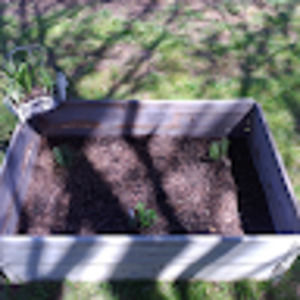 Meet your Posher, Valerie